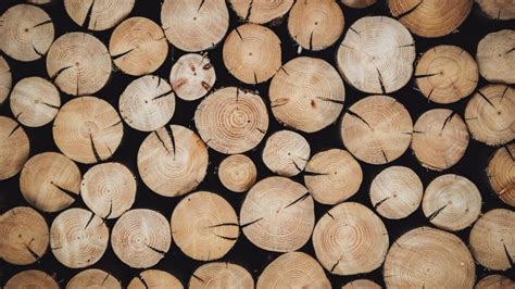 Timber framing History 的图像结果