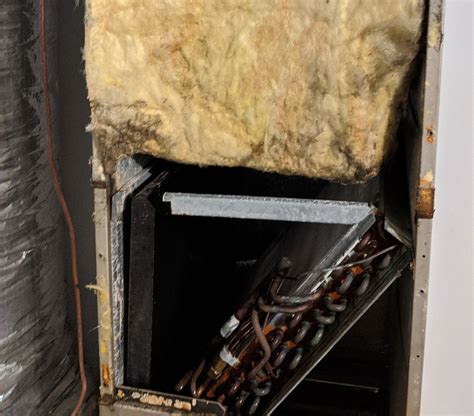 Inside AC Local 的图像结果