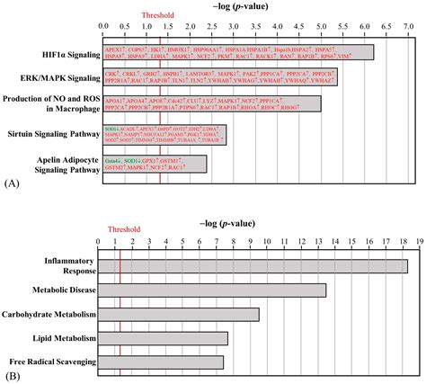 Proteomic Analysis of Skeletal Muscle and White Adipose Tissue after ...