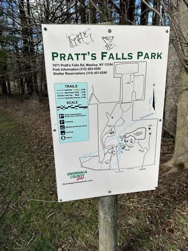 Image result for Decatur Map.pdf