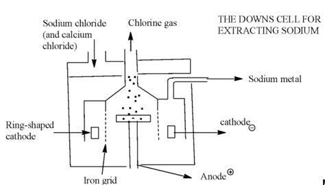 Downs Cell Diagram 的图像结果