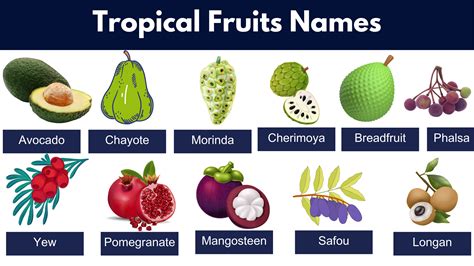 List of All Tropical Fruits Name, Pictures, PDF - GrammarVocab