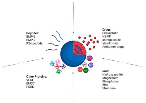 Harnessing the Potential of PLGA Nanoparticles for Enhanced Bone ...