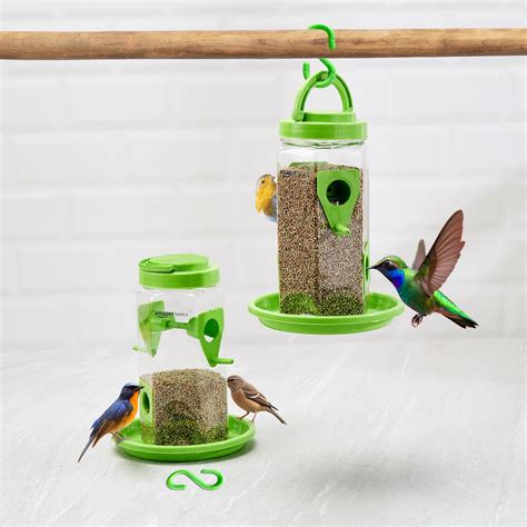 Amazon Basics Hanging Bird Feeder | 500 GMS (Set of 2) : Amazon.in ...