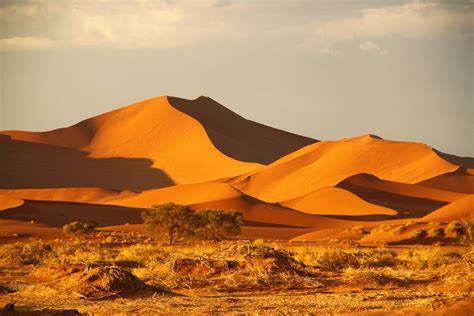 Which Countries Have Deserts? - WorldAtlas