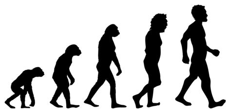 Evolution PNG 的图像结果