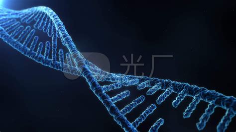 DNA and RNA — Structure & Function - Expii
