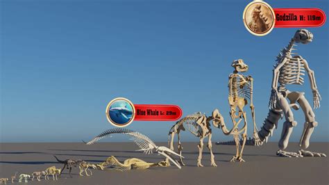 Bionic Size Comparison 的图像结果