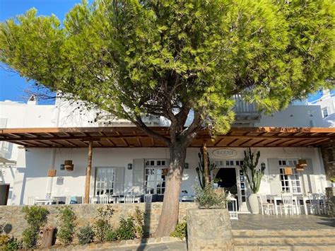 ELENA HOTEL (Mykonos/Mykonos Town) - Hotel Reviews, Photos, Rate ...