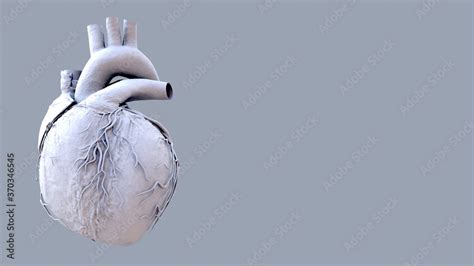 Image result for Full Animation On Heart Function