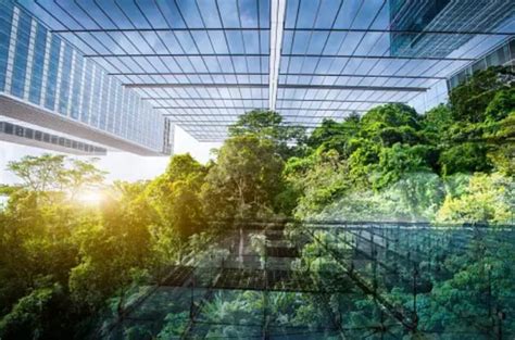 Building Disasters 的图像结果