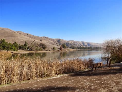 My 2014 Santa Clara County Big Year: Sapsuckers at Ed Levin County Park