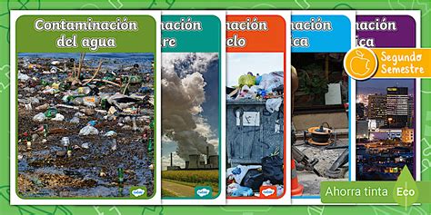 Póster: Tipos de contaminación (teacher made) - Twinkl