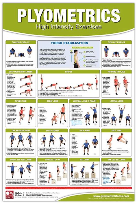 Plyometric Exercise Routine 的图像结果