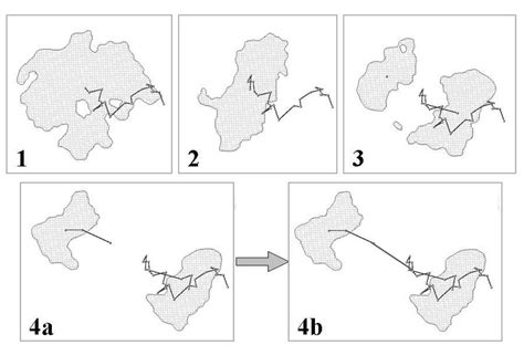 Image result for Maximum Intensity Projection Python