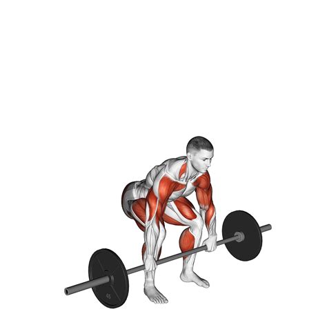 Barbell Push Press: Benefits, Muscles Worked, and More - Inspire US