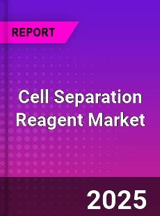 Ample Market Research | Market Research Reports & Industry Forecasts