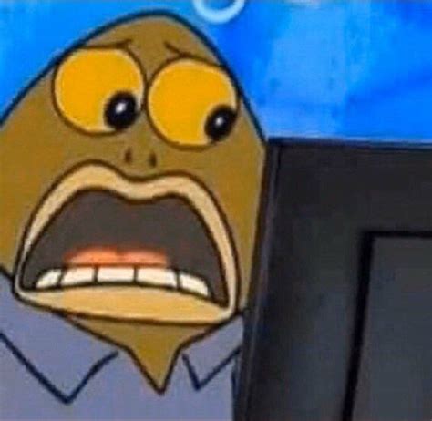Reaction Pic: Shocked | Cute memes, Cartoon memes, Spongebob funny