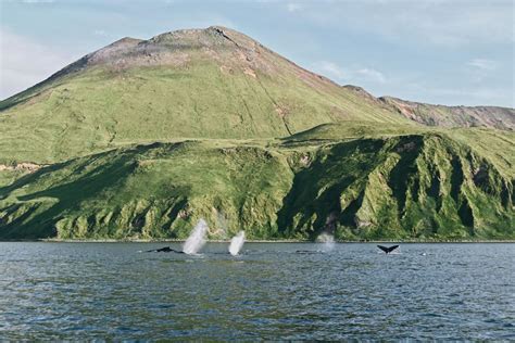 Unalaska / Port of Dutch Harbor, AK | Things to Do, Recreation, & Travel Information | Travel Alaska