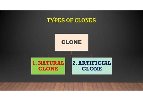 Cloning 的图像结果
