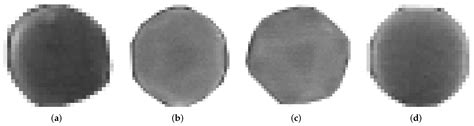 Nanoparticle Detection on SEM Images Using a Neural Network and Semi ...