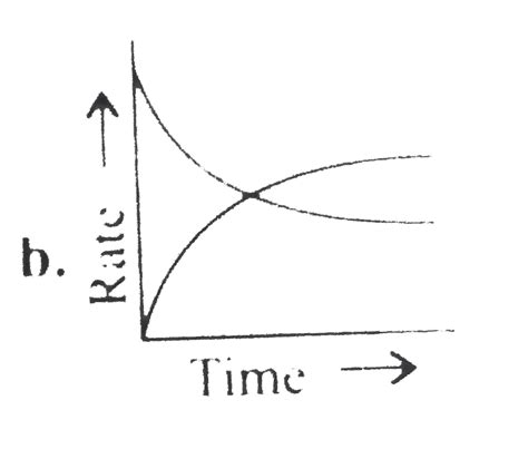 Which graph will show equilibrium condition?