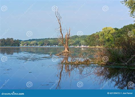 Whitewater Lake and Park Scenic Stock Image - Image of nature ...