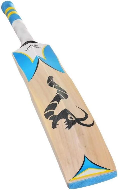 Buy Woodworm iBat 235 Short Handle Cricket Bat at Ubuy India