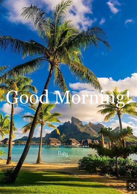 Good Morning Quotes with Palm Trees Background