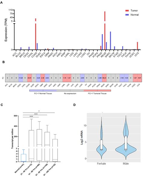 Clinical and Immunologic Characteristics of Colorectal Cancer Tumors ...