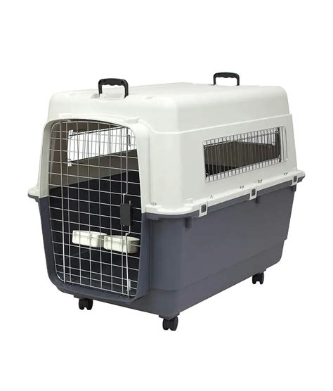 Buy IATA Approved Airline Dog Crate 40" Online for Medium Breed Dogs ...