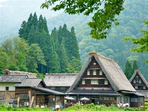 The Historic Villages of Shirakawa-go and Gokayama Join In Bus Trip ...