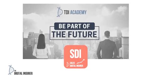 Image result for SDI Insurance Explained