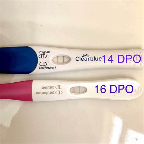 Top: Clearblue Early Detection, 14 DPO. Bottom: First Response Early ...