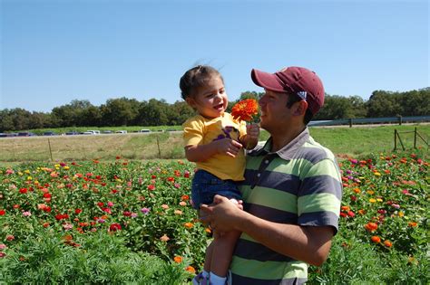 The Matas: Sweet Berry Farm
