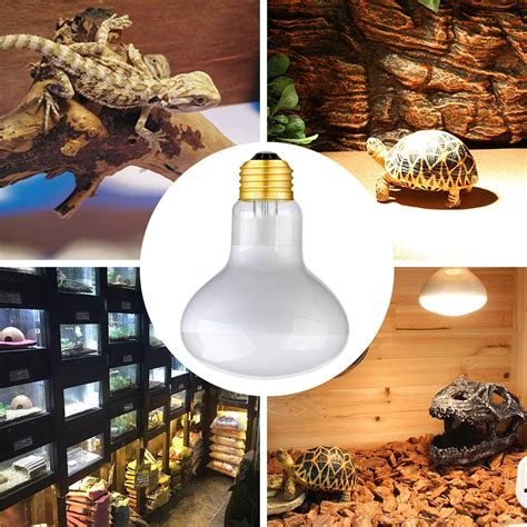 Buy 75W Reptile Heat Lamp, Basking Spot Light Soft White Light Glass ...