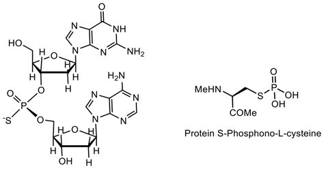 Phosphorus Compounds of Natural Origin: Prebiotic, Stereochemistry ...
