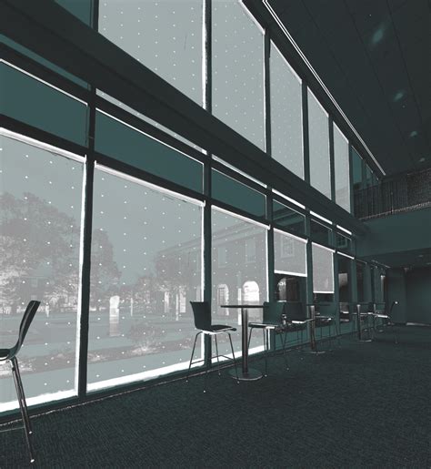 Bird collisions: How the UNCW library and sustainability are designing ...