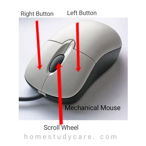 Computer Mouse Diagram 的图像结果