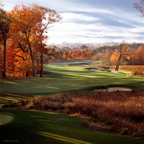 Photography in Nature 的图像结果