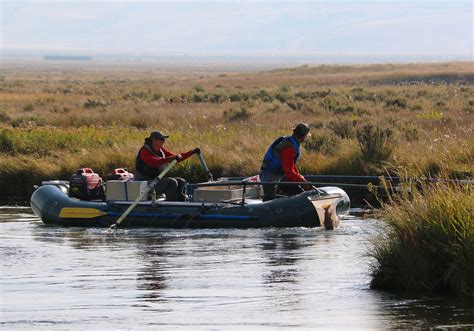 Flat Creek Fishery Better Than Ever? | Wyoming Game & Fish Department