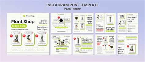 Plant shop template design | Free PSD