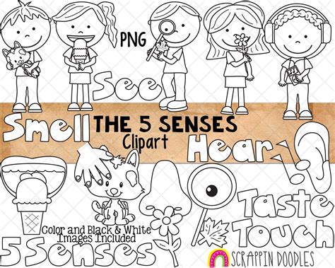 Five Senses - Smell #3928787