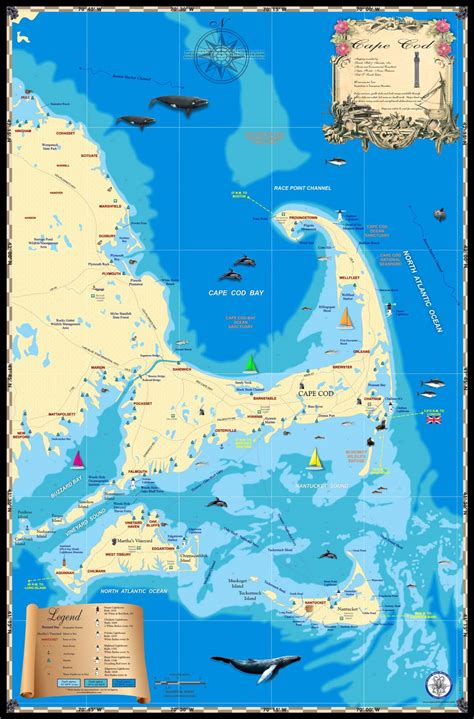 Cape Cod Map - Island Map Store