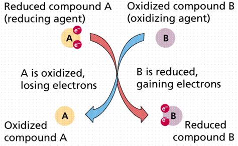 Image result for Oxidizing Agent Reactions