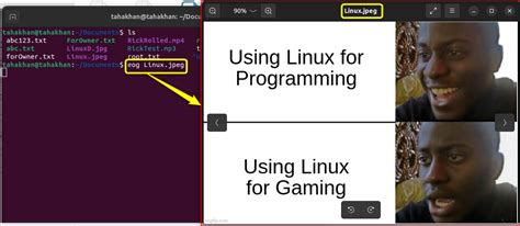 Image result for How to Execute File in Linux