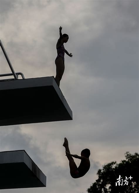 全国少年儿童跳水冠军赛（D区）圆满落幕广西壮族自治区运动员获6金_国家体育总局
