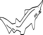 Shark Evolution Script 的图像结果