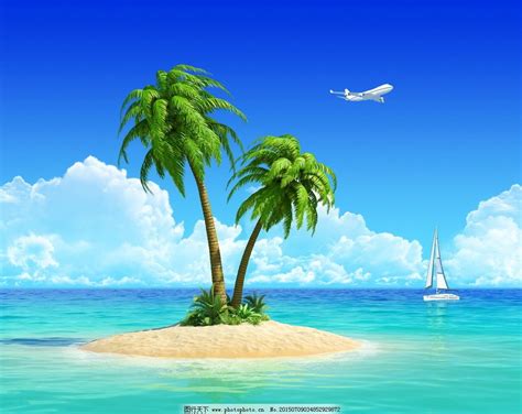 美丽的海滩椰树风景桌面壁纸-壁纸图片大全