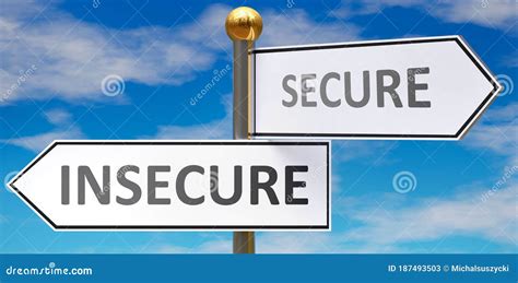 Secure vs Insecure Browsing 的图像结果